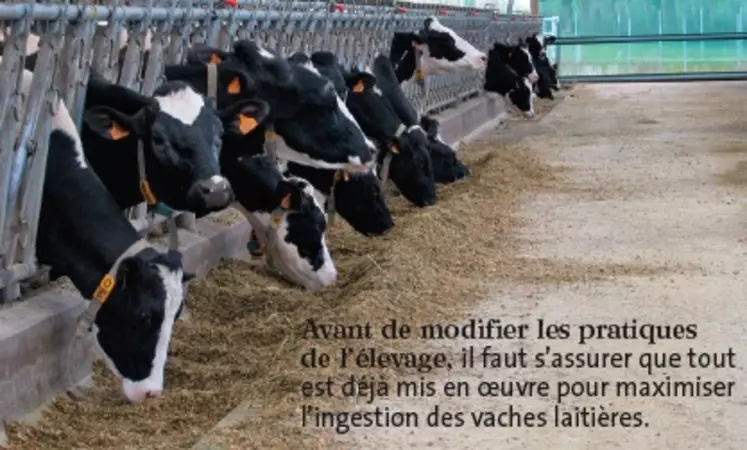 Avant de modifier les pratiques
de l&#8217;élevage, il faut s&#8217;assurer que tout
est déjà mis en oeuvre pour maximiser
l&#8217;ingestion des vaches laitières.