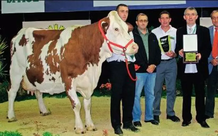 Santiana, fille d’Ionone, a été sacrée championne adulte et
grande championne. « C’est une vache élégante, remarquable par sa
puissance. C’est la plus complète de ce concours. Elle est solide, a une
bonne ligne de dos, de très bons aplombs. »