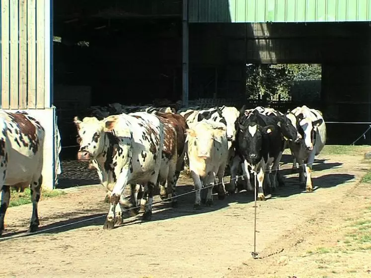 Agriculteur Normand