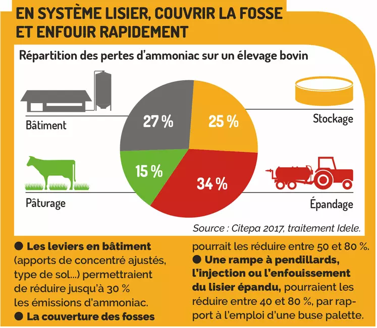 Répartition des pertes d'ammoniac sur un élevage bovin 