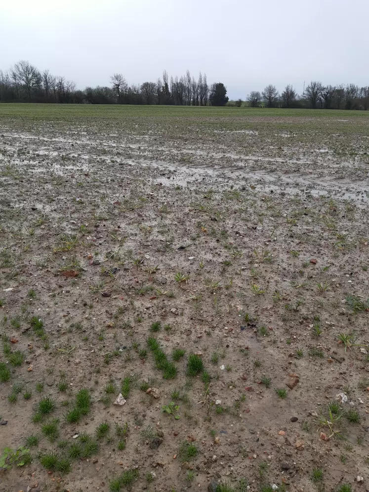 parcelle inondée