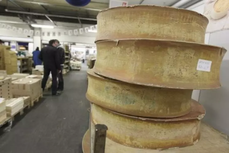Meules de Beaufort, un des 28 fromages de vache français en AOP, au marché international de Rungis.