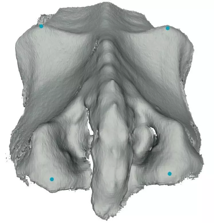 L’automatisation du pointage des hanches
et des fesses sur l’image
(points bleus) est l’une des prochaines grandes étapes du projet.