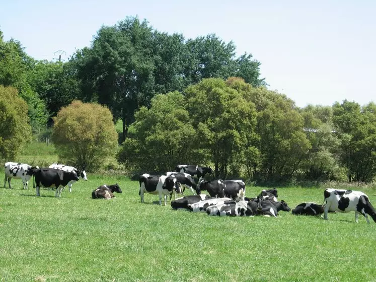 La reconnaissance du stockage de carbone par les prairies dans les méthodes officielles d’évaluation environnementale est en bonne voie.