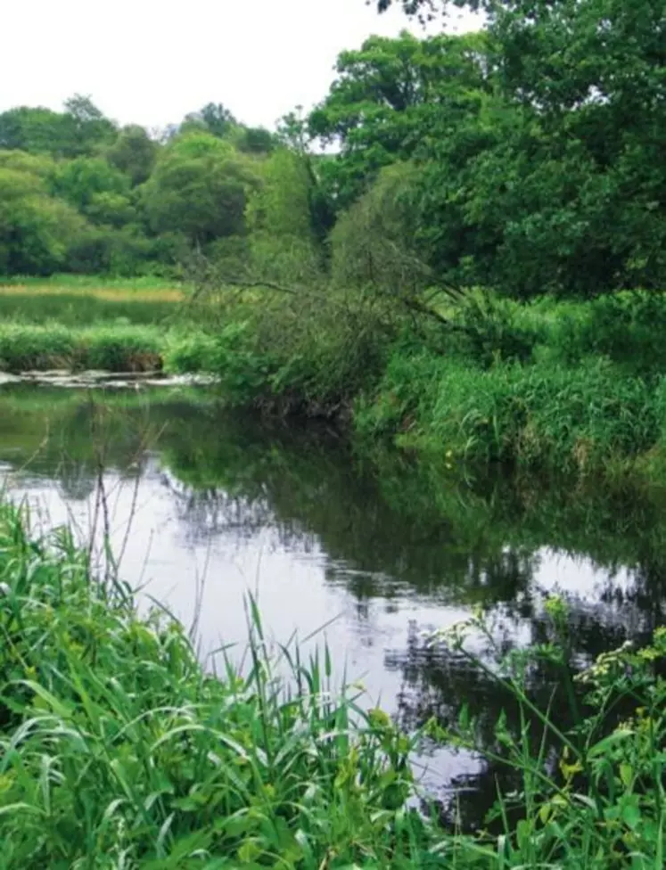 La maîtrise du risque de transfert à l’eau des produits phytosanitaires est un enjeu essentiel.