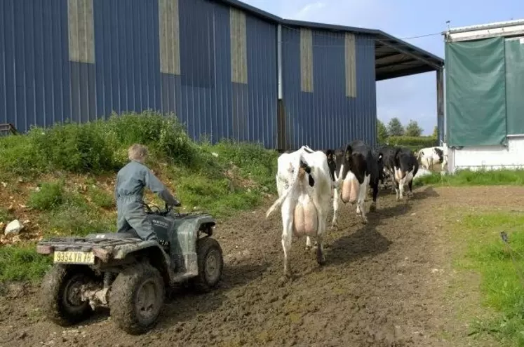 Le nombre d'installations en lait sera déterminant pour façonner le visage de la France laitière de demain.