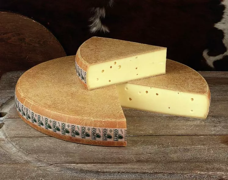 Les pâtes pressées cuites comme le comté affichent une belle progression depuis 2001.