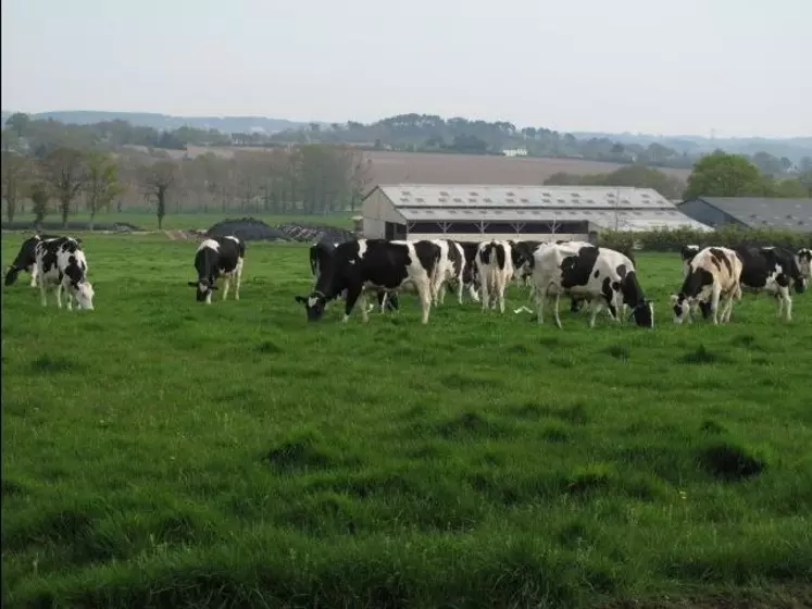 En 10 ans, les exploitations laitières bretonnes ont su évoluer pour s'adapter aux changements de fond d'ordre sanitaire, réglementaire et économique.
