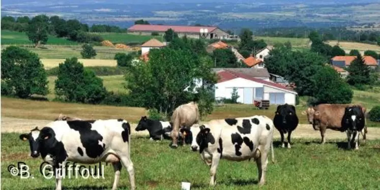 SI LA MARQUE « MONTAGNE » INTÉRESSE
PRIORITAIREMENT LES PRODUCTEURS
DU MASSIF CENTRAL, OÙ UNE BONNE PART
DU LAIT EST MAL VALORISÉE, ELLE EST
OUVERTE AU TERRITOIRE NATIONAL.