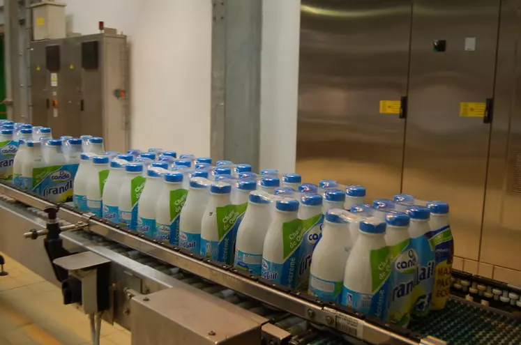 La part de marchés de la marque Candia dans le rayon des lait de consommation s'élève à 17,5% (+0,2%/2020)