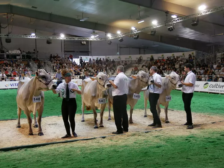 Le concours brun a réuni 12 animaux le 14 septembre au Space.