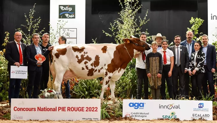 Loanne à l'Earl Rannou dans le Finistère, grande championne du national 2022