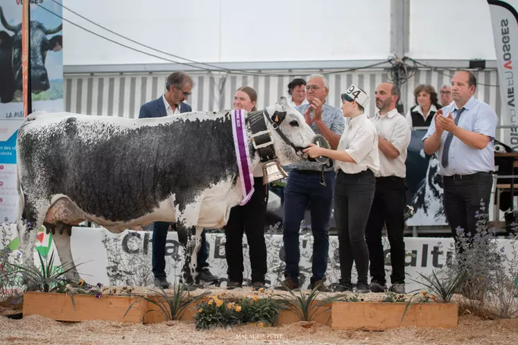 Girly (Tintin) - SNC de l’Envers des Graviers dans les Vosges - Grande championne et championne adulte