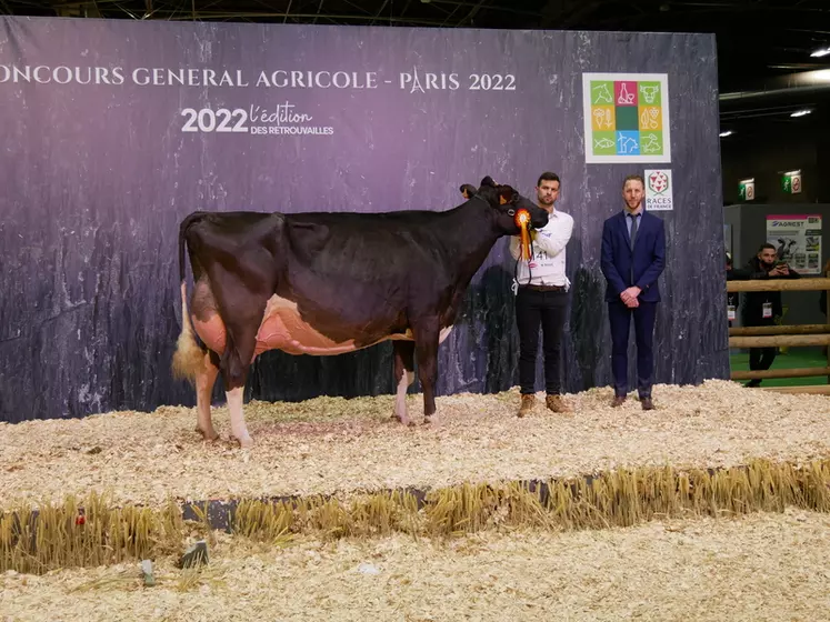 Gourmande (Jayz) Gaec du Tombuy, Dailly Antonin et Adrien dans la Meuse - Réserve championne et meilleure mamelle adulte 