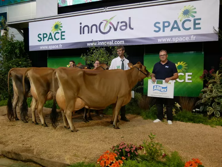 Lot de vaches du Gaec Ferme Jers Hys en Eure et Loir - Prix d'élevage