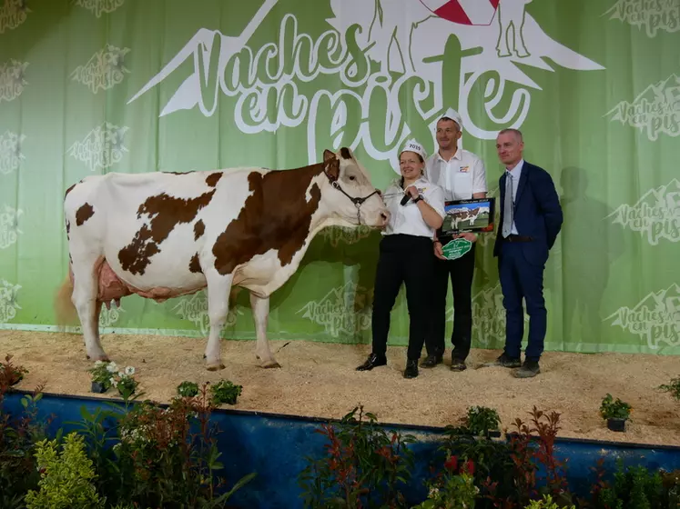 Gitane (Urocher) - Gaec Cattet dans le Doubs - Meilleure fromagère