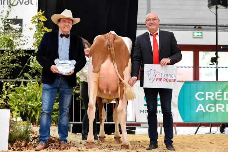 Rubis Rosie P (Solitair P) – Gaec des Rubis (29) - Meilleure mamelle espoir