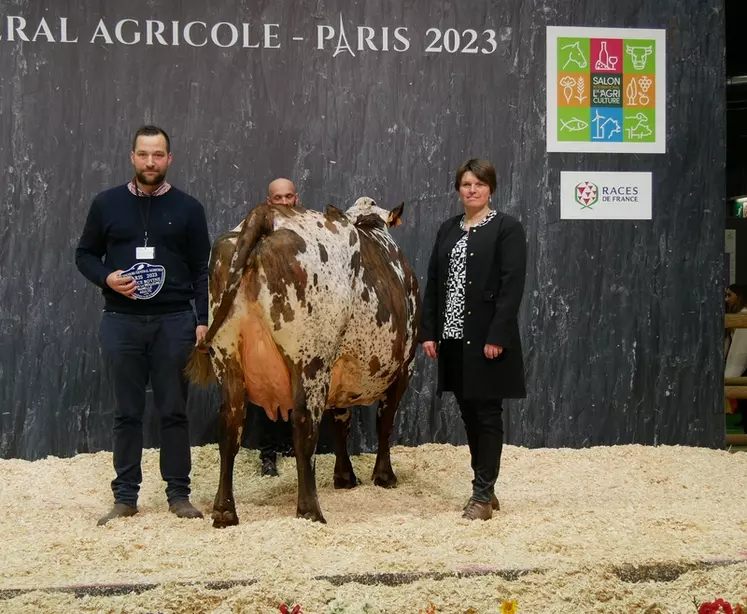 Licorne - Gaec de la Bissonnière dans la Sarthe - Meilleure mamelle adulte