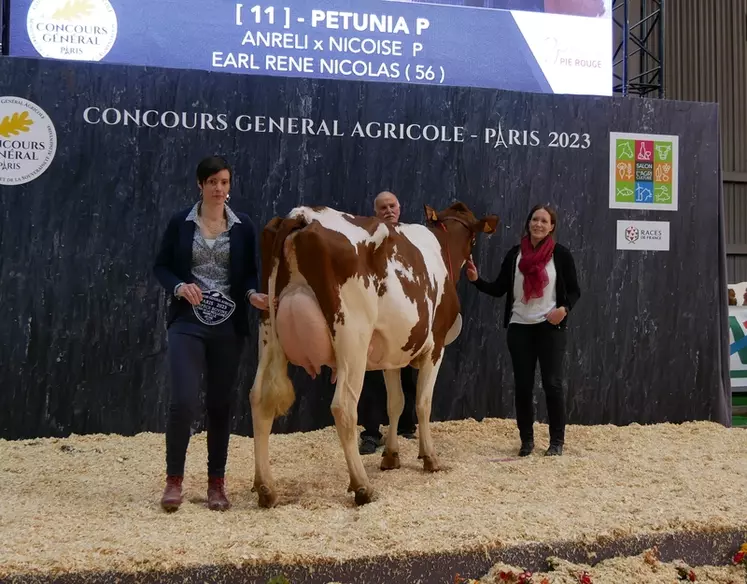 Petunia P - Earl René Nicolas dans le Morbihan - Meilleure mamelle jeune.