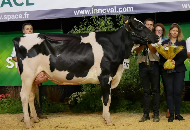 Noe Pensylvanie - Gaec Pom Holstein/Quim Serrabassa/Triangle Holstein/Francesco Bertola Agriber en Ille et Vilaine - Réserve championne jeune