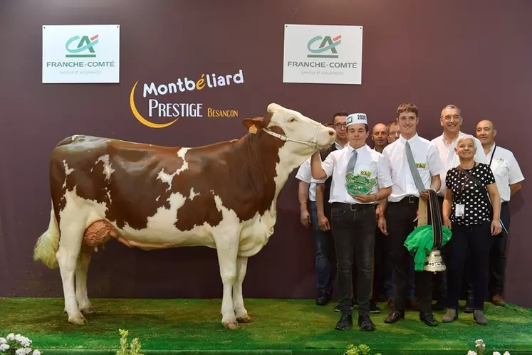 Lunedemiel, au Gaec du Pivert en Haute-Loire, a été désignée championne jeune puis grande championne par le juge Grégory Maillard. © J. Chabanne