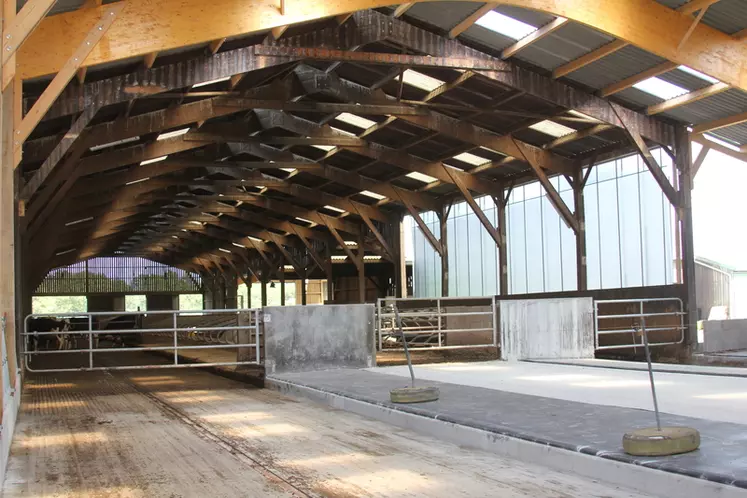 L’extension du bâtiment va permettre de loger les vaches taries et en préparation au vêlage dans le prolongement des vaches laitières.  © F. Mechekour