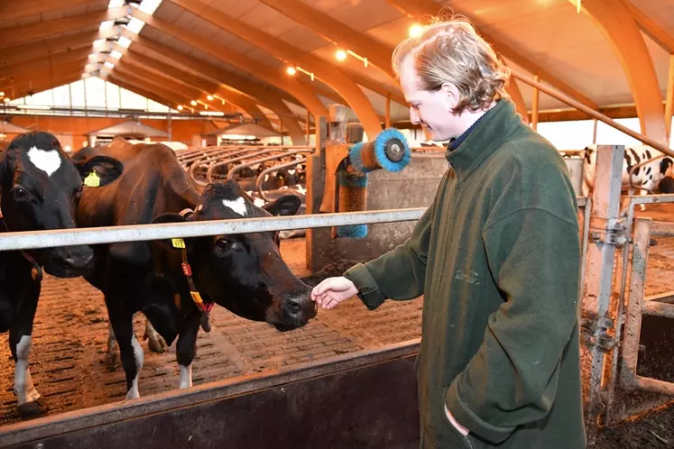 Avant l'embargo russe, Jan de la Chapelle vendait  le lait 0,45 €/l contre 0,356 €/l aujourd'hui.  © C. Smet - © Union ...
