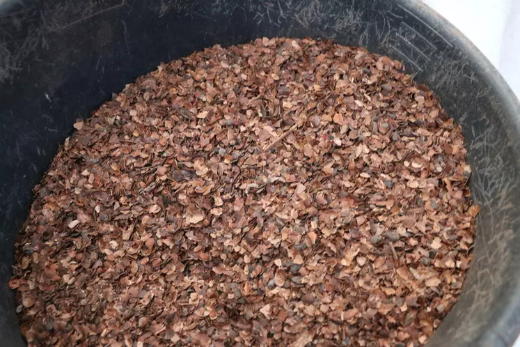 Les 400 grammes de cacao de la ration permettent de booster le TP.  © A. Conté