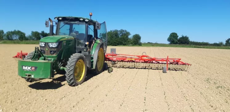 La herse étrille ou la houe rotative sont passées en général deux ou trois fois en début de culture. © L. Lesage