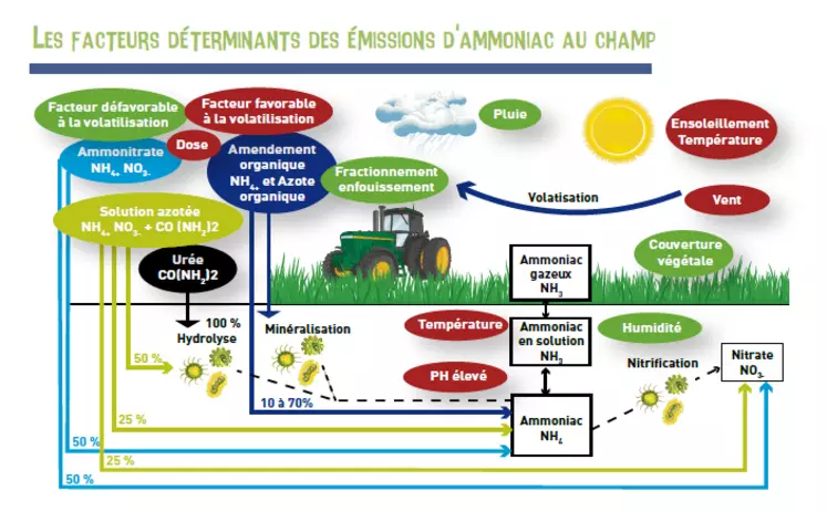 TITRELes facteurs déterminants des émissions d'ammoniac au champ © Source : A. Guézengar CA ...