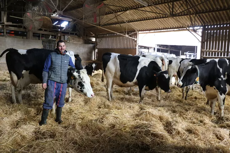 Quentin Velut avec Galaxie élue « Vache de l’année 2019 ». Âgée de 8 ans, elle a produit plus de 82 000 kg de lait en six lactations (44,1 de TB, 34,1 de TP) et sans cellules (46 000) et vient de revêler. © E. Bignon