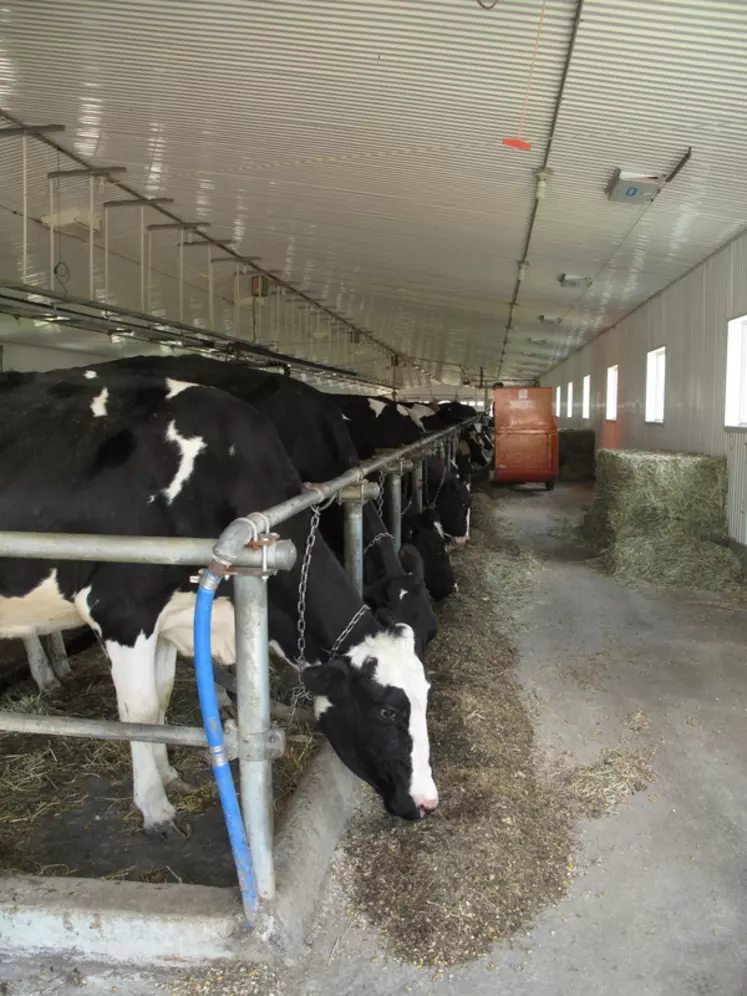 Au Québec, le prix du lait est fixé en fonction des coûts de production et d'un indice à la consosommation. Il y a très peu d'échanges internationaux et aucune subvention directe: c'est un système "auorégulateur". © C. Pruilh
