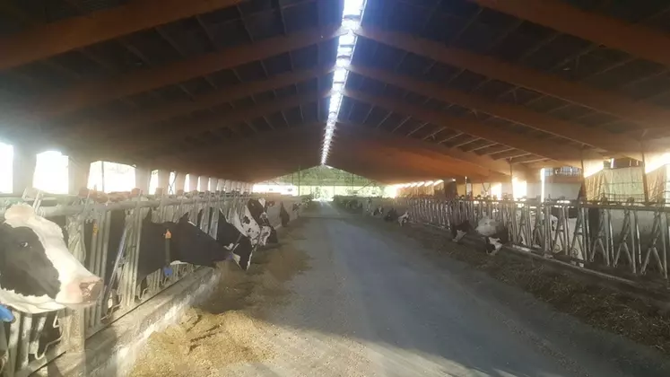 Le projet prévoit la construction sur le site de Houlbec-Cocherel d’une nouvelle stabulation en logettes pour 234 vaches laitières, en complément de celle existante pour 400 vaches.© DR