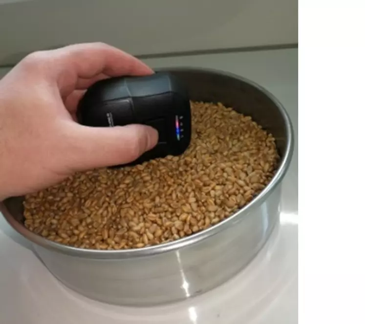 La fiabilité du microcapteur est déjà vérifiée pour du grain.  © Arvalis-Institut du végétal