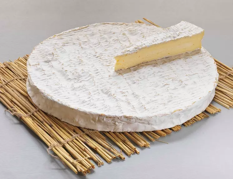 Le brie de Meaux en 2019, c'était 6 499 tonnes de fromages vendues, soit des ventes à peu près stables depuis dix ans. © Union Brie de Meaux et Brie ...