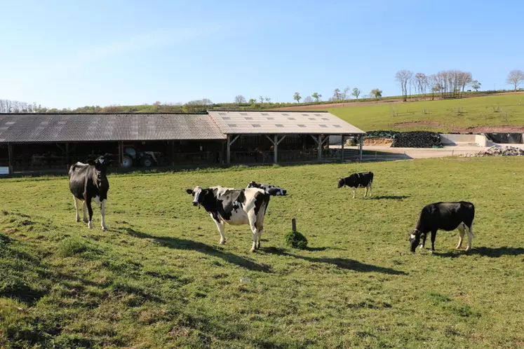 Du 1er avril à mi-octobre, les vaches ont accès à 6 ha de pâture. L’accès est bloqué, après la distribution de la ration le soir,  de 18 h à 1 h du matin. © A. Conté