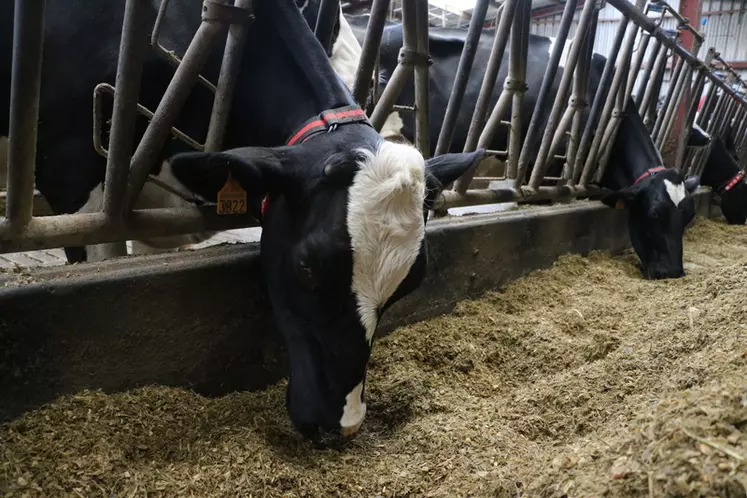 Dans l’enquête, le déficit énergétique n’est pas identifié comme une problématique majeure en élevage… mais sous-jacente aux principales préoccupations des éleveurs.