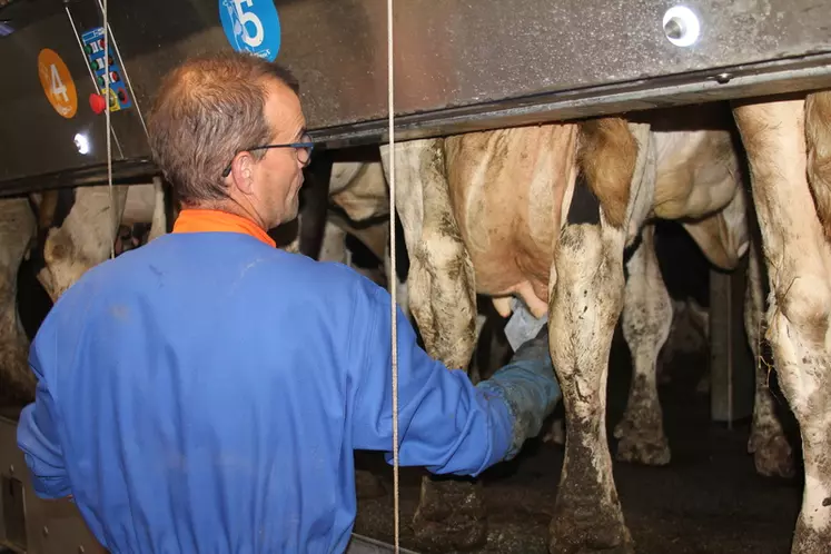 Êtes-vous prêt à prolonger les lactations de certaines vaches ?