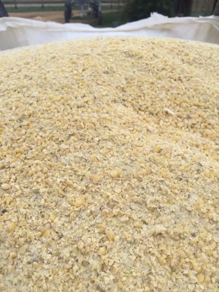 Le soja broyé se présente un peu comme du maïs grain humide. Il ne peut pas être distribué au DAC. Le soja a été récolté en 2021 le 24 septembre avec un rendement de 35 q/ha.