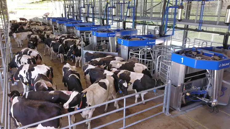 L’élevage de Renato Aceto, dans le Sud de l’Italie, envisage de traire plus de 1 000 vaches avec le concept de traite par lots VMS d’ici le printemps 2022.