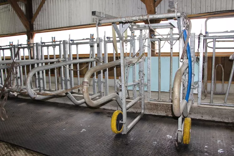 La cage de parage est entièrement manuelle. Elle permet de bloquer la tête de la vache et d’intervenir sur les pattes avant et arrière après lavage à grande eau.