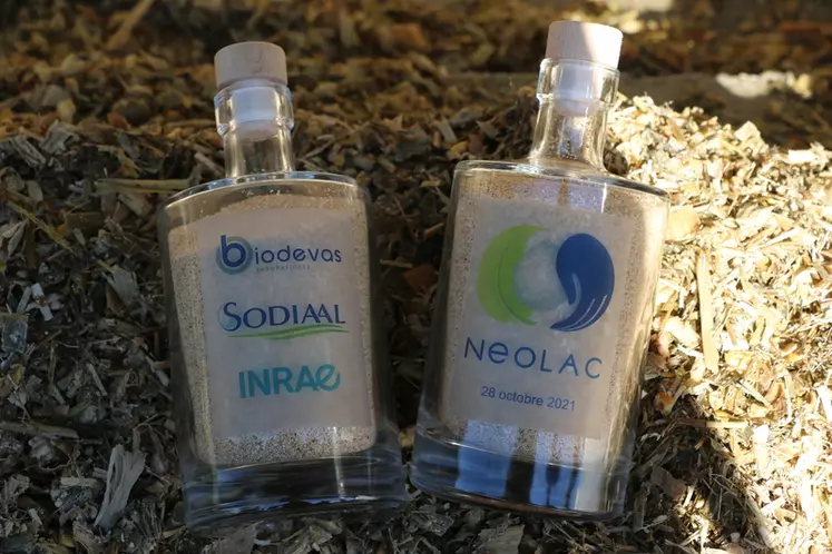 Le projet Néolac a pour ambition de diminuer de 30 à 50 % l’utilisation d’intrants chimiques pour le traitement des mammites dans la filière laitière.