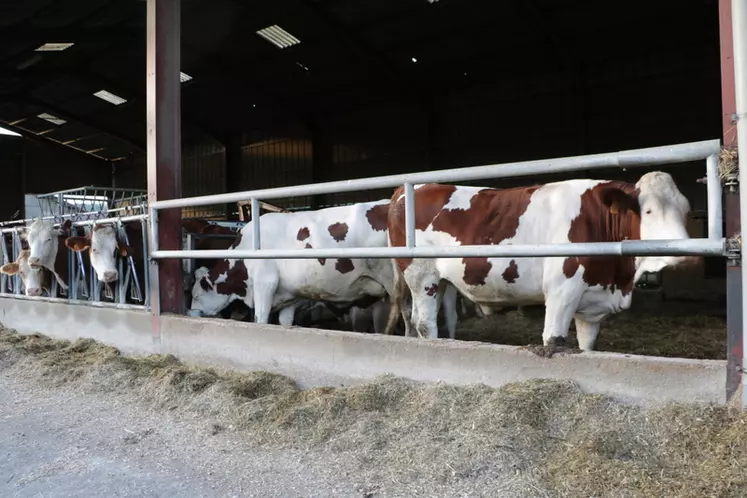 En Isère: « Nous cherchons à automatiser au maximum pour produire notre contrat de 625 000 litres de lait»