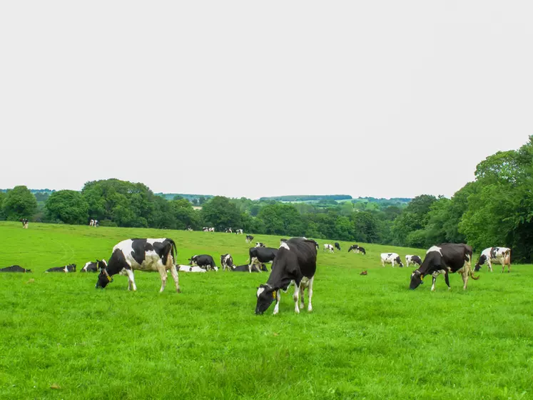 Selon le recensement agricole 2020, la France compte 35000 fermes laitières.