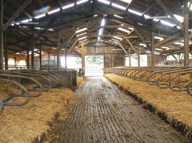 La production laitière bretonne tient bon mais la baisse structurelle du nombre d’exploitations et plus récemment du cheptel fait craindre pour son avenir.