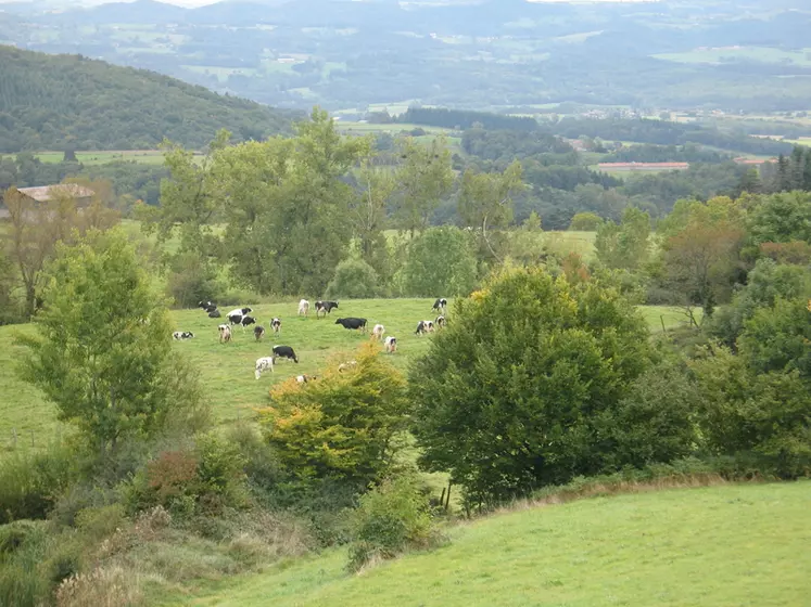 Les 300 adhérents de la Coopal sont en grande majorité en zone de montagne, en Haute-Loire, Puy-de-Dôme, Creuse, Corrèze, Allier, Cantal. 