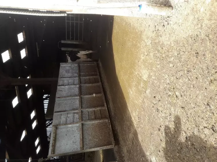 Un exemple d’équipement pour pallier le croisement des circuits propre et sale : des plaques se rabattent sur le couloir de circulation des vaches lors du passage des tracteurs pour accéder au couloir d’alimentation. 