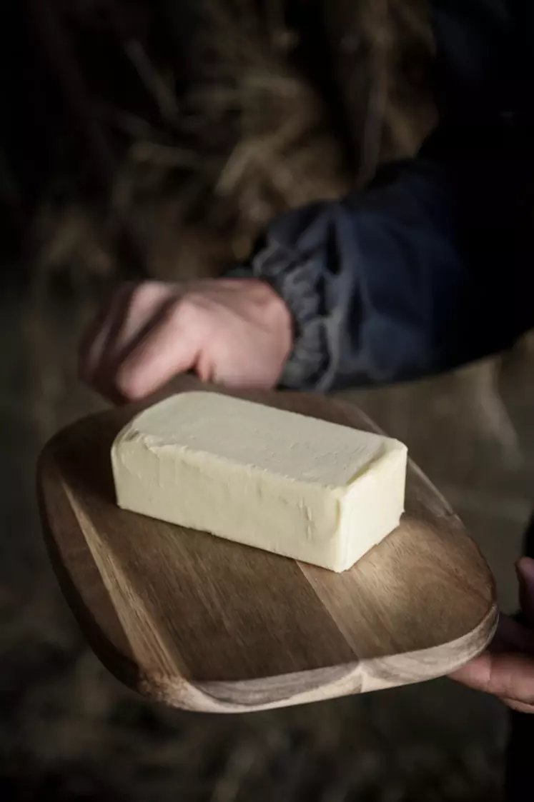 L’utilisation du maïs toute l’année dans la ration des vaches apporte une constance au beurre AOP Charentes-Poitou et le rend malléable. Des caractéristiques fortement appréciées des pâtissiers.