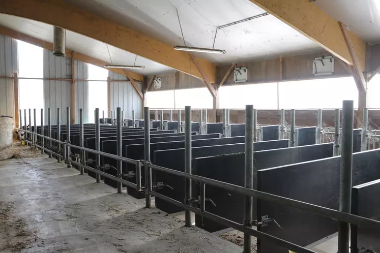 Les éleveurs ont investi 100 000 € dans cette nurserie très fonctionnelle. Les 32 cases individuelles sont transformables en case collectives. Les génisses et bœufs y restent jusqu’à l’âge de 6-7 mois.