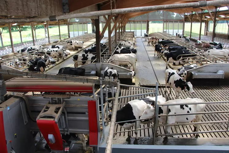 Mis à part en début de lactation, c’est la distribution de concentré qui attire les vaches au robot.